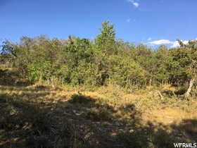 View of landscape