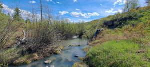 View of water feature featuring a wooded view