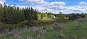 View of nature with a forest view