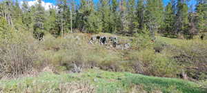 View of landscape featuring a view of trees