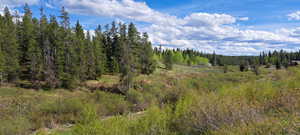 View of landscape with a wooded view