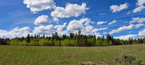 View of landscape with a wooded view