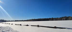 View of snowy yard