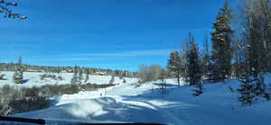 View of yard covered in snow