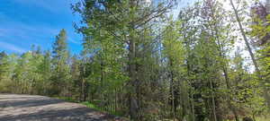 View of street with a wooded view