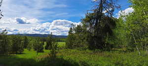 View of mountain feature featuring a forest view