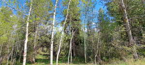 View of landscape featuring a view of trees