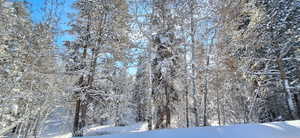 View of snow covered land