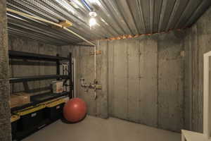 Unfinished Storage room