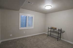 Basement bedroom with carpet and plantation shutters