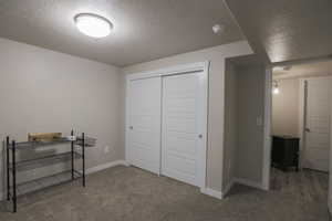 Basement bedroom with carpet and plantation shutters