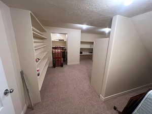 HUGE storage closet