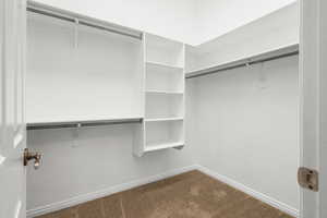 Spacious closet with dark colored carpet