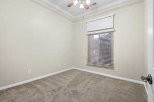 Spare room with carpet floors, visible vents, ceiling fan, and baseboards