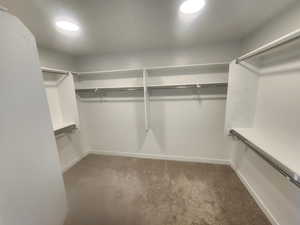 Walk-in closet shown empty