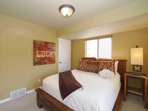 Bedroom featuring carpet floors, visible vents, and baseboards