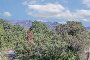 View of mountain feature with a forest view