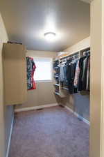 Spacious closet with carpet floors and visible vents