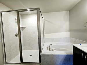 Bathroom with a shower stall, vanity, and a bath