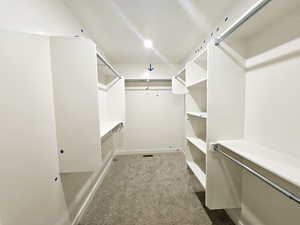 Spacious closet with carpet