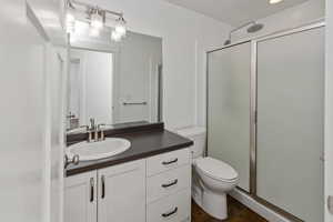 Bathroom with toilet, a stall shower, wood finished floors, and vanity