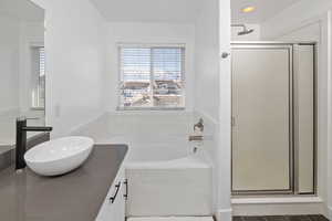 Full bathroom featuring vanity, a shower stall, and a bath