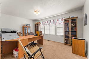 Office space featuring carpet flooring, visible vents, baseboards, and a textured ceiling