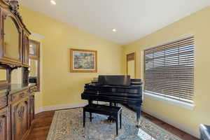 Music room/office/den