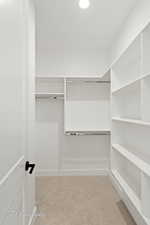 Walk in closet with carpet