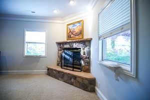 Details featuring visible vents, ornamental molding, carpet flooring, and a stone fireplace