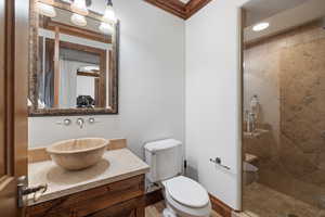 Full bathroom featuring vanity, a shower stall, and toilet