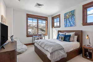 Bedroom with multiple windows, carpet flooring, visible vents, and baseboards