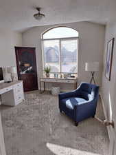 Bedroom area with baseboards, and carpet flooring