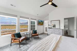 Bedroom featuring carpet floors, visible vents, a ceiling fan, vaulted ceiling, and baseboards