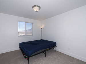 Bedroom featuring baseboards and carpet flooring