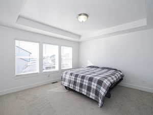 Bedroom featuring visible vents, a tray ceiling, baseboards, and light colored carpet