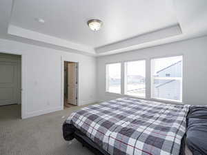 Bedroom with baseboards, a tray ceiling, and light colored carpet