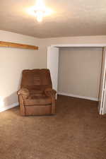 Living area with carpet flooring, a textured ceiling, and baseboards