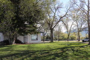 View of green lawn