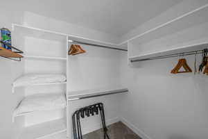 Spacious closet with carpet