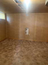 Below grade area with carpet floors and wooden walls