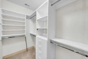 Spacious closet featuring visible vents and light colored carpet