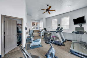 Exercise area with carpet, baseboards, ceiling fan, and a textured ceiling