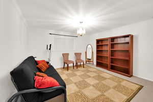 Basement bedroom with closet