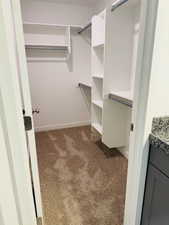 Walk in closet featuring carpet