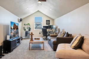 Carpeted living area featuring vaulted ceiling and a textured ceiling