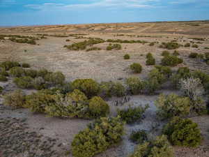 Photo 21 of 