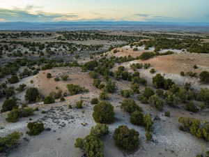 Photo 12 of 