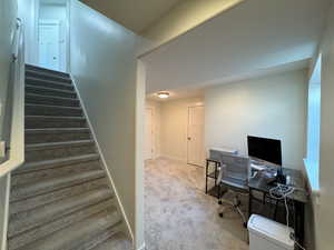 Stairway with carpet floors and baseboards