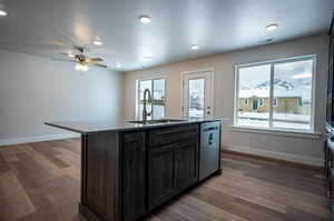 Kitchen featuring dark wood-style flooring, a healthy amount of sunlight, a sink, and stainless steel dishwasher